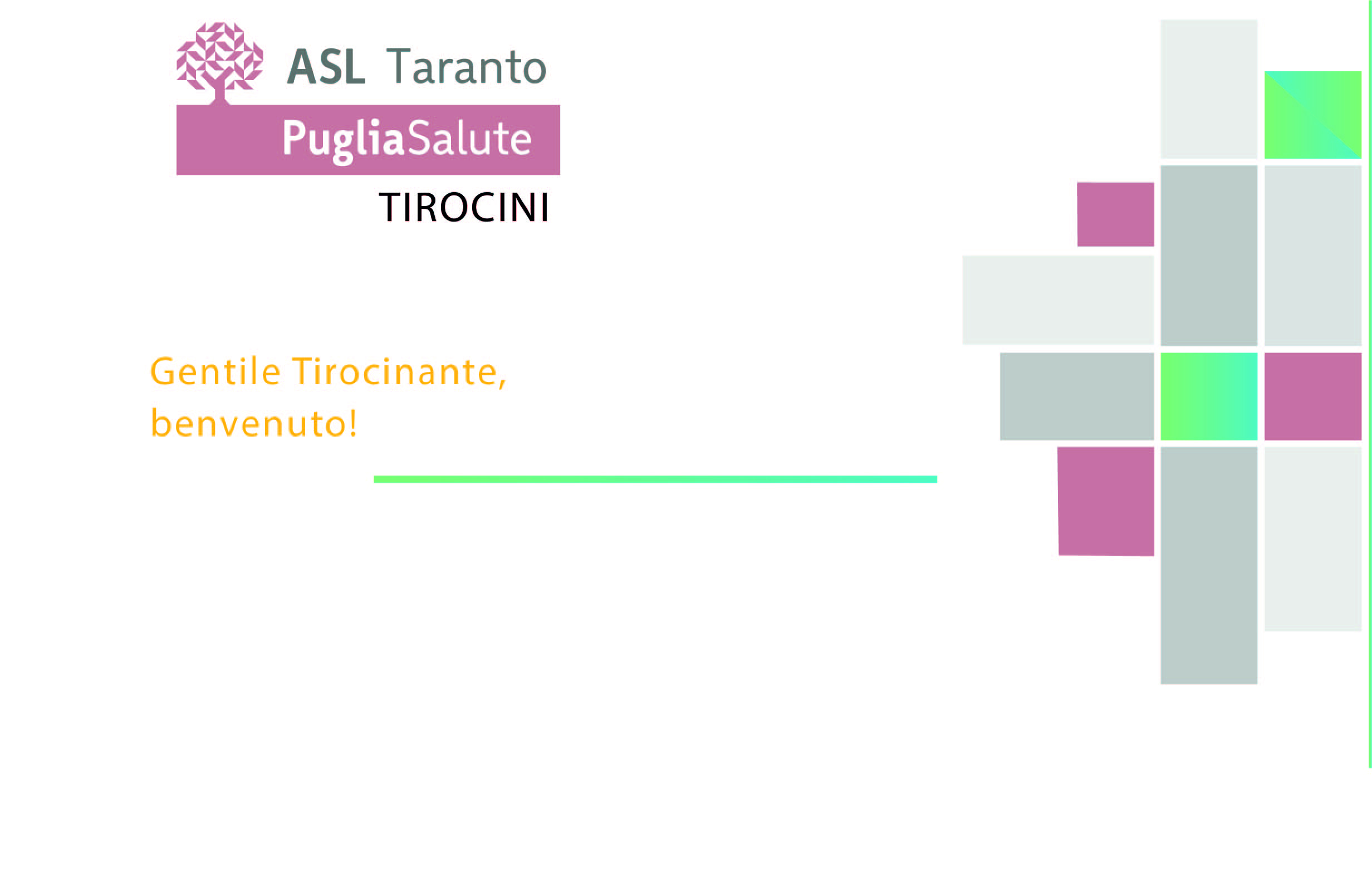 tirocini.jpg (913 KB)
